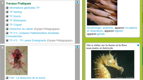 diff_moodle_lille1